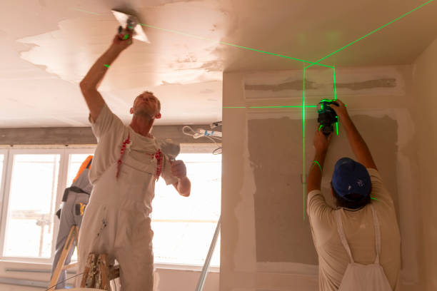 Best Ceiling Drywall Installation  in Pine Grove, CA